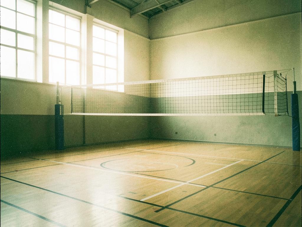 Volleyball at the net